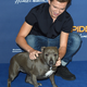 Illustration for article titled Tom Holland takes his dog to iHomecoming/i